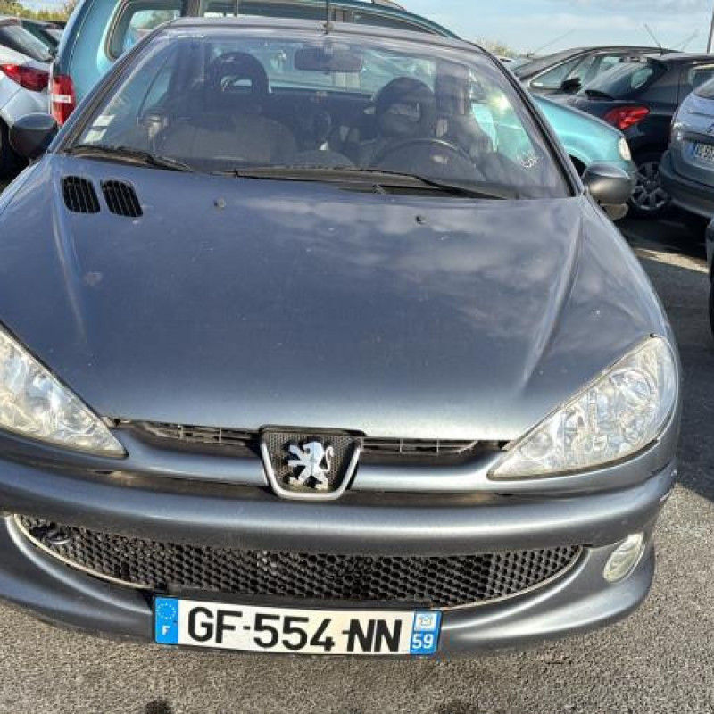 Porte avant droit PEUGEOT 206 Photo n°16
