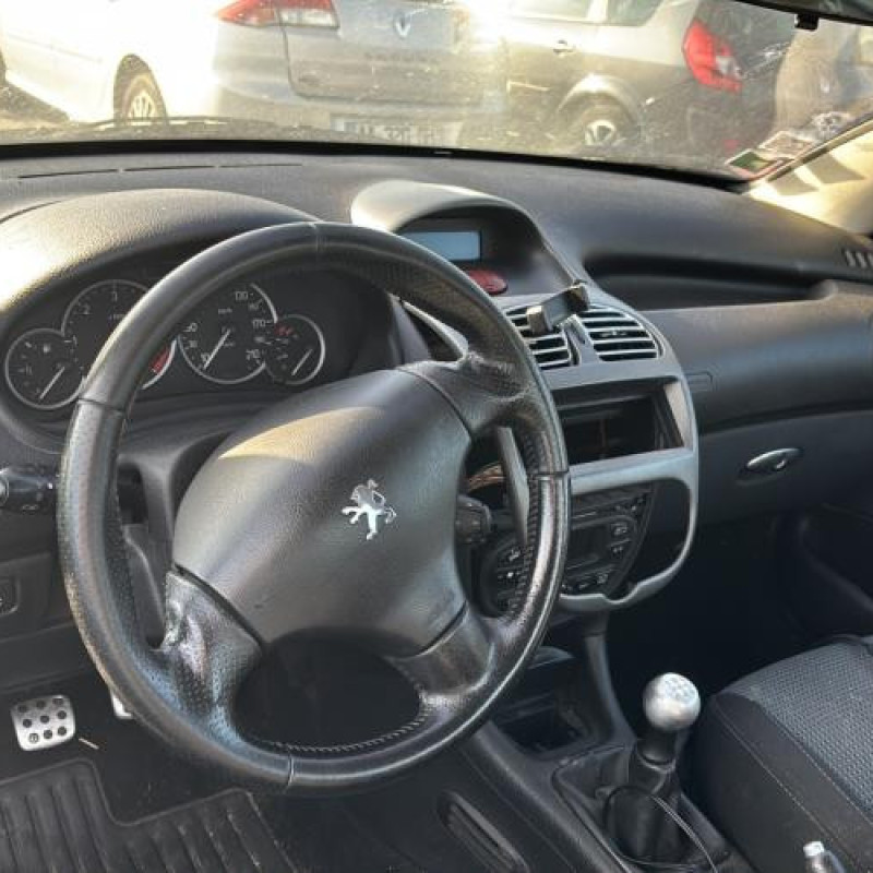 Porte avant droit PEUGEOT 206 Photo n°20