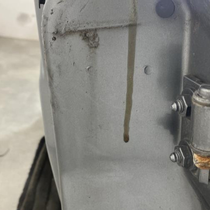 Porte avant gauche MINI MINI 1 R50/R53 Photo n°3