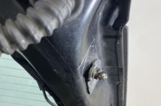 Malle/Hayon arriere CITROEN C4 GRAND PICASSO 1