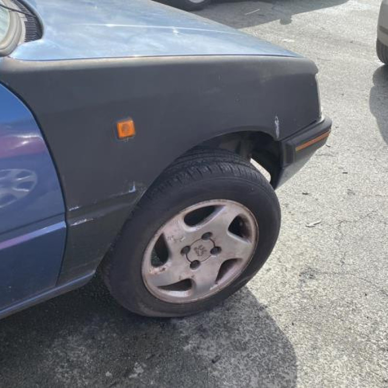 Porte arriere gauche PEUGEOT 205 Photo n°19