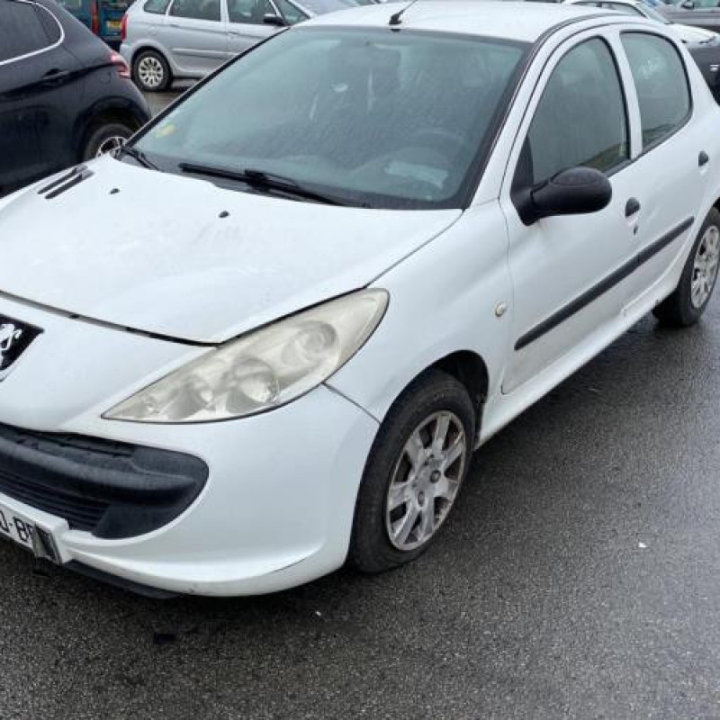Porte arriere droit PEUGEOT 206+ Photo n°8