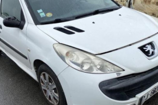 Porte arriere droit PEUGEOT 206+