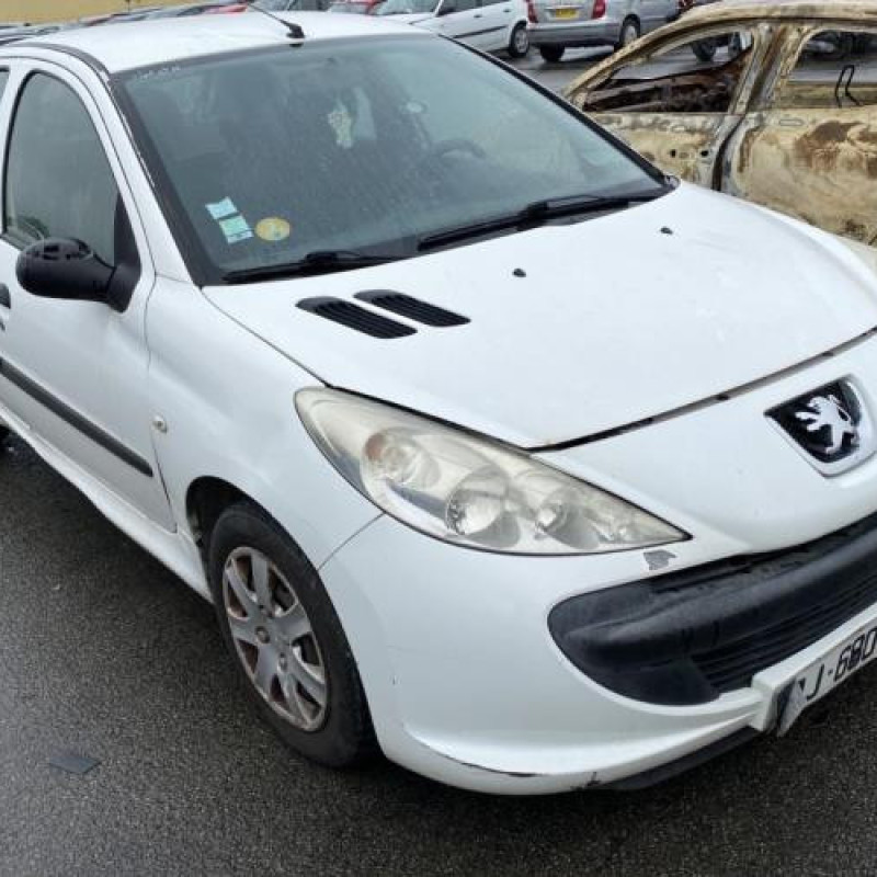 Porte arriere droit PEUGEOT 206+ Photo n°9