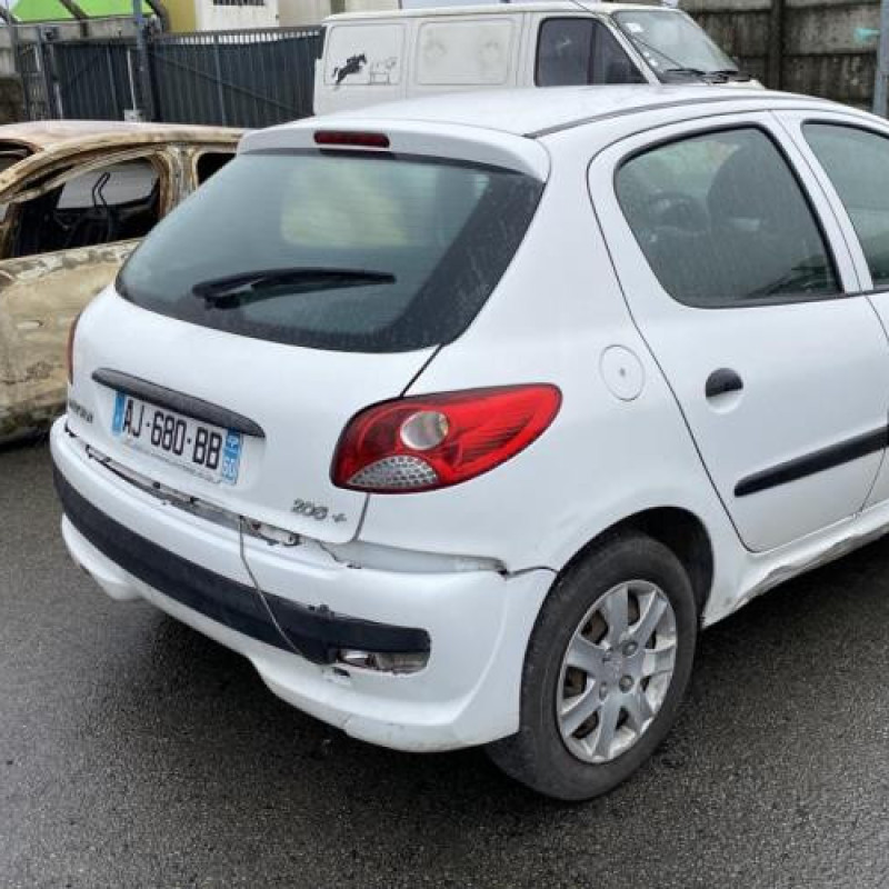 Porte arriere droit PEUGEOT 206+ Photo n°10