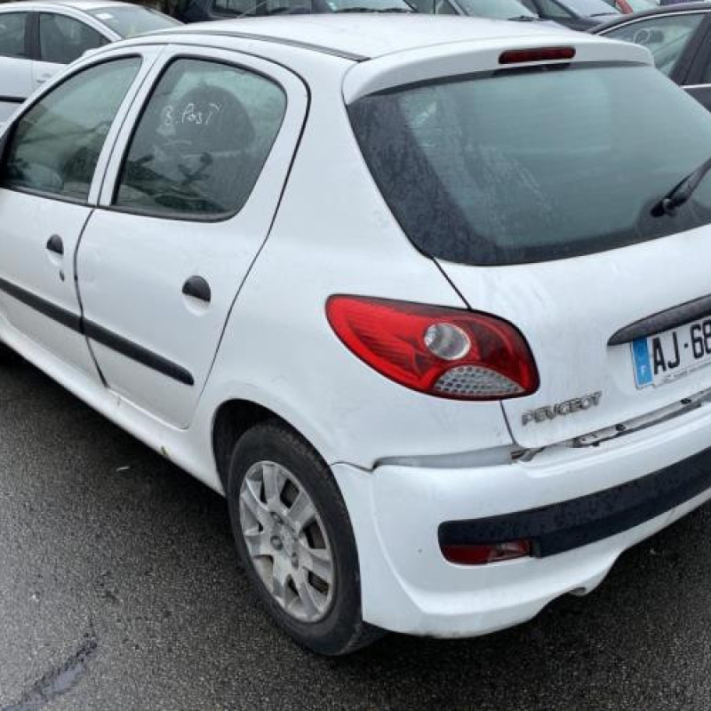 Porte arriere droit PEUGEOT 206+ Photo n°11