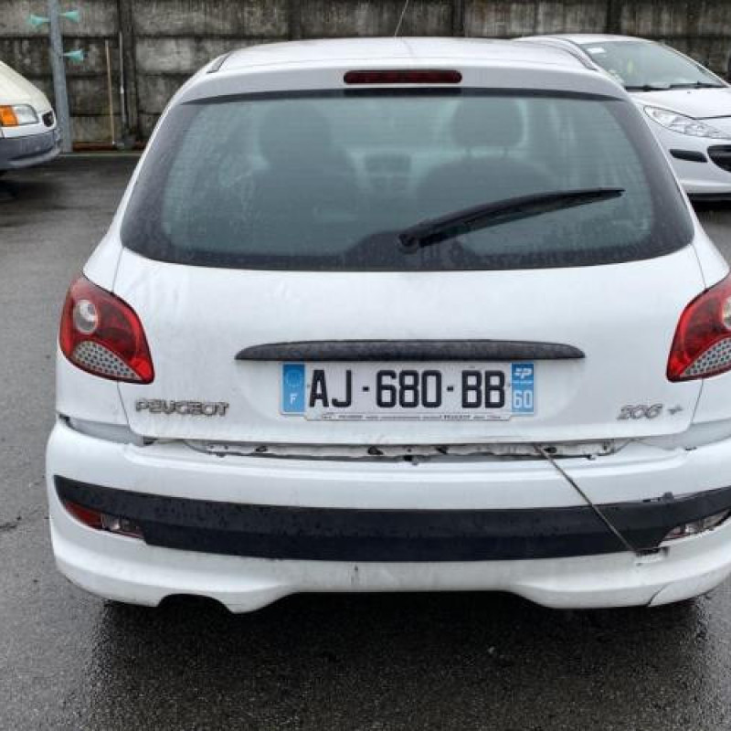 Porte arriere droit PEUGEOT 206+ Photo n°12