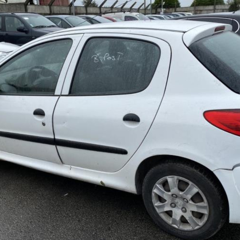 Porte arriere droit PEUGEOT 206+ Photo n°13