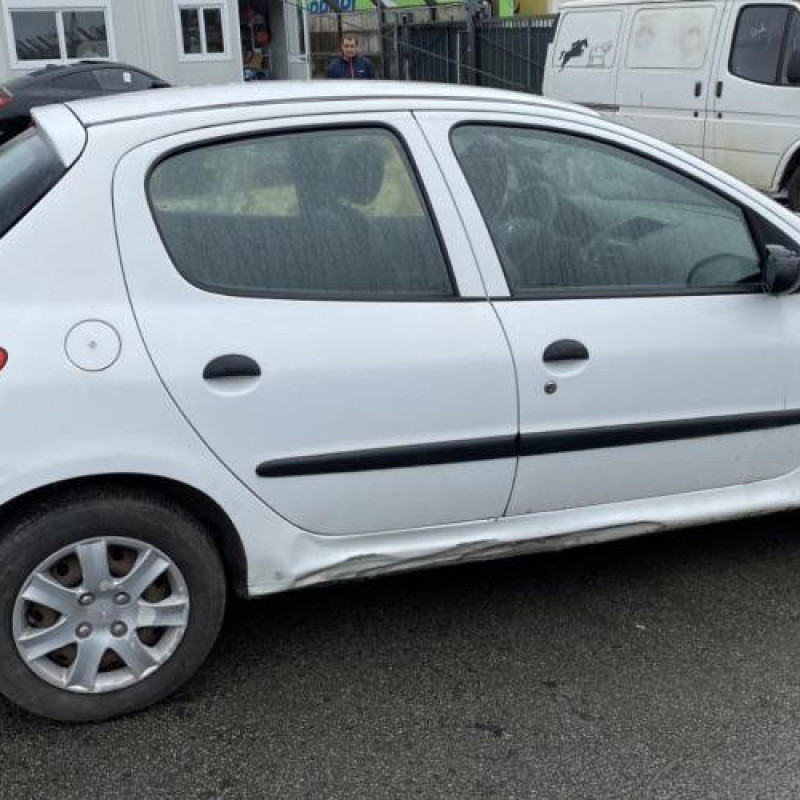 Porte arriere droit PEUGEOT 206+ Photo n°14