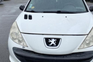 Porte arriere droit PEUGEOT 206+