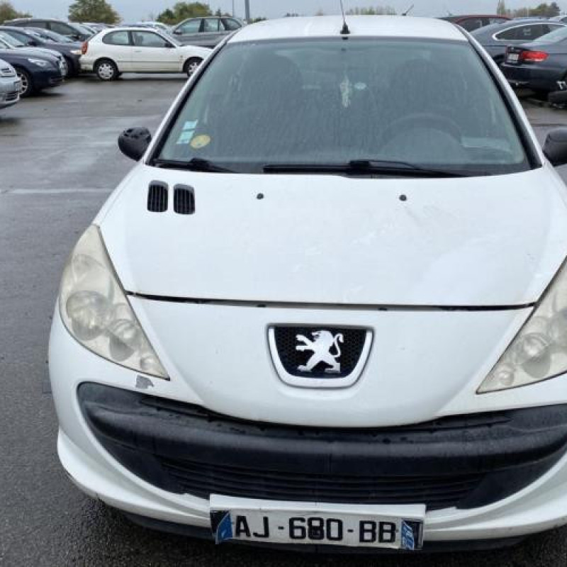 Porte arriere droit PEUGEOT 206+ Photo n°15