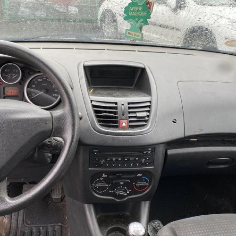Porte arriere droit PEUGEOT 206+ Photo n°19