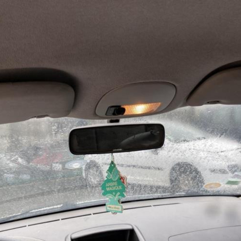 Porte arriere droit PEUGEOT 206+ Photo n°20