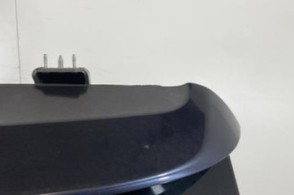 Malle/Hayon arriere CITROEN C4 PICASSO 1