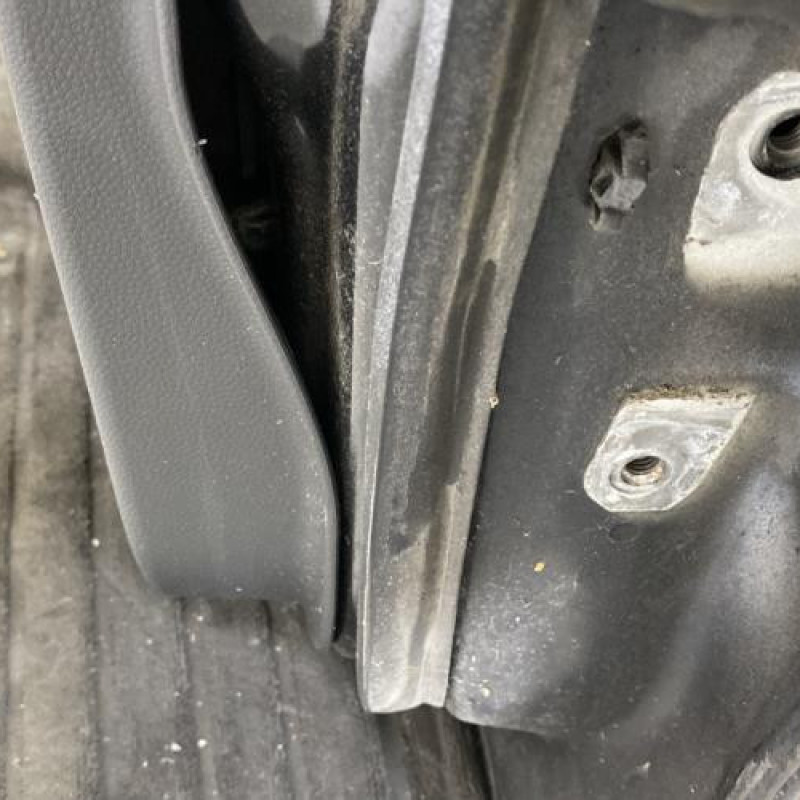 Porte arriere gauche OPEL AGILA B Photo n°6