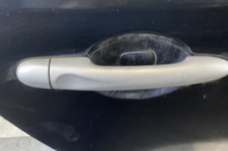 Porte arriere droit RENAULT MEGANE 3