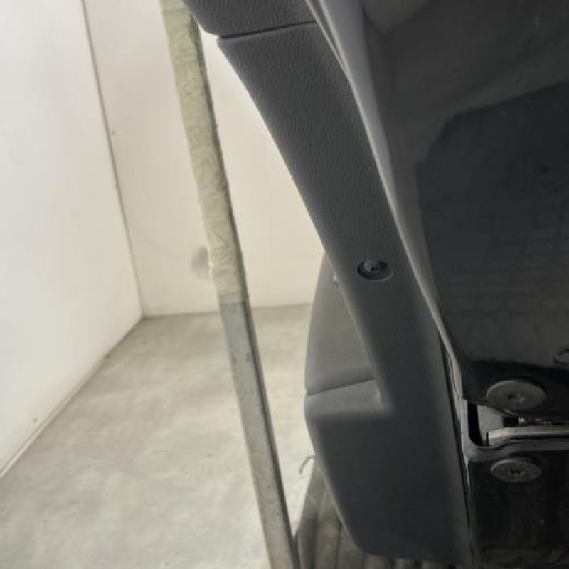 Porte arriere droit RENAULT MEGANE 3 Photo n°3