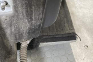 Porte arriere droit RENAULT MEGANE 3