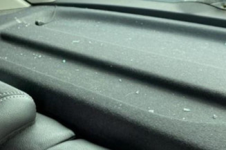 Porte arriere droit RENAULT MEGANE 3