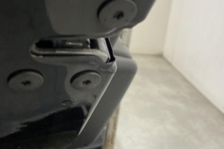 Porte arriere gauche RENAULT MEGANE 3