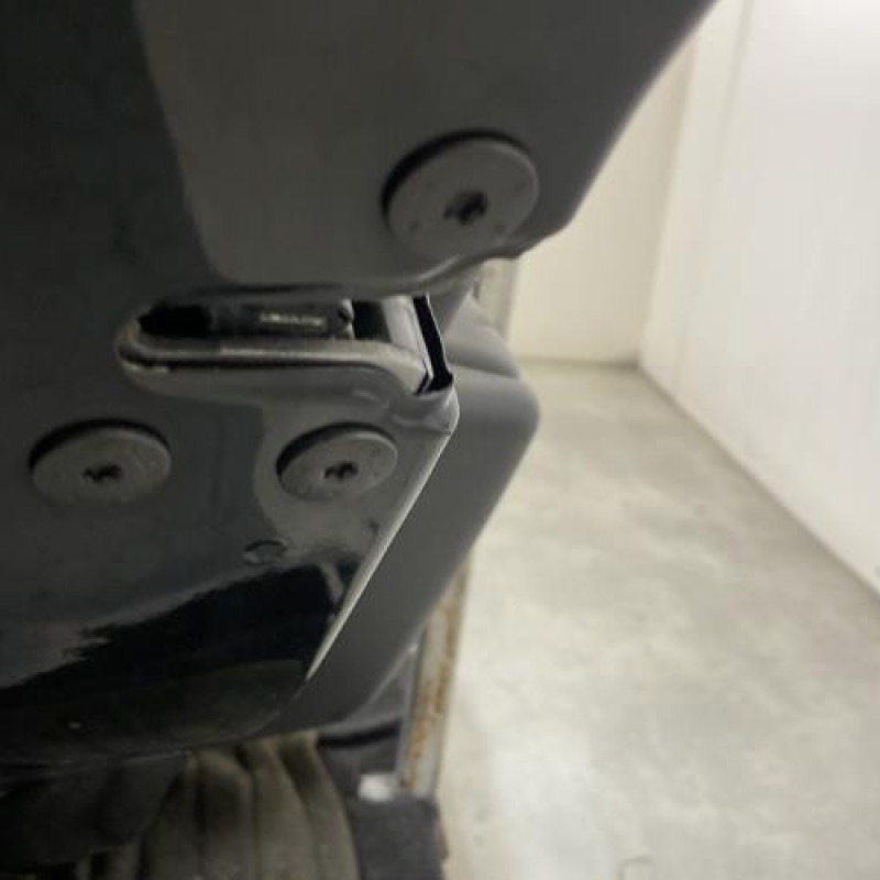 Porte arriere gauche RENAULT MEGANE 3 Photo n°3