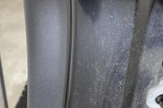 Porte arriere gauche RENAULT MEGANE 3