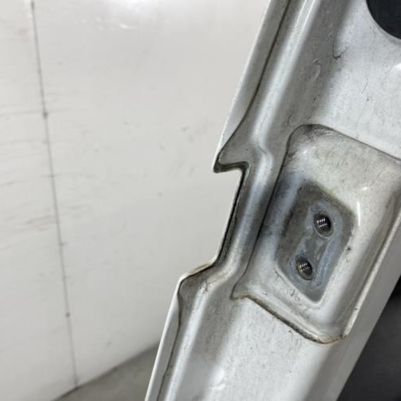 Porte de coffre droit FIAT DOBLO 2 Photo n°4