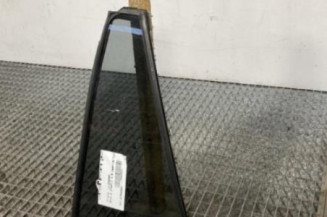 Custode arriere gauche TOYOTA RAV4 5