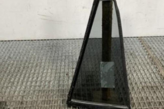 Custode arriere gauche TOYOTA RAV4 5