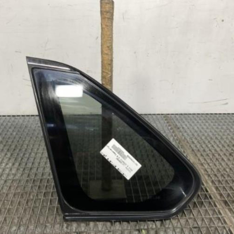 Custode arriere gauche (porte) TOYOTA RAV4 5 Photo n°1