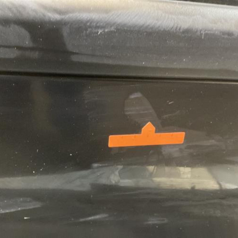 Porte avant droit RENAULT CLIO 3 Photo n°3