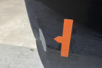 Porte avant droit RENAULT CLIO 3