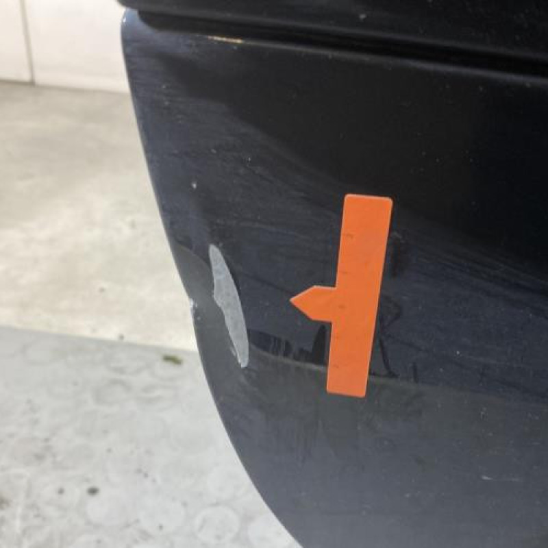 Porte avant droit RENAULT CLIO 3 Photo n°4