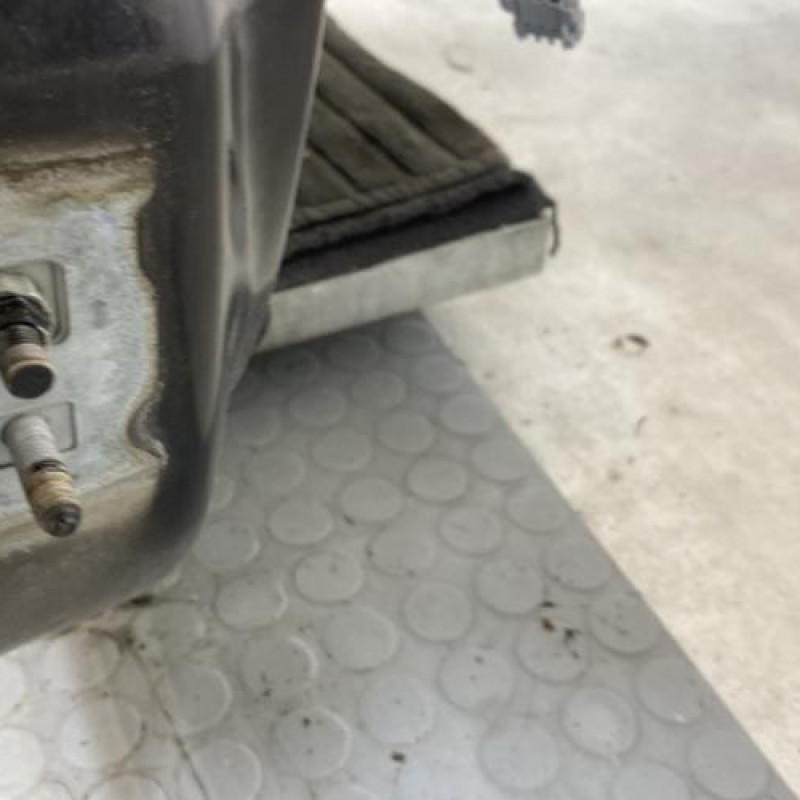 Porte avant droit RENAULT CLIO 3 Photo n°7