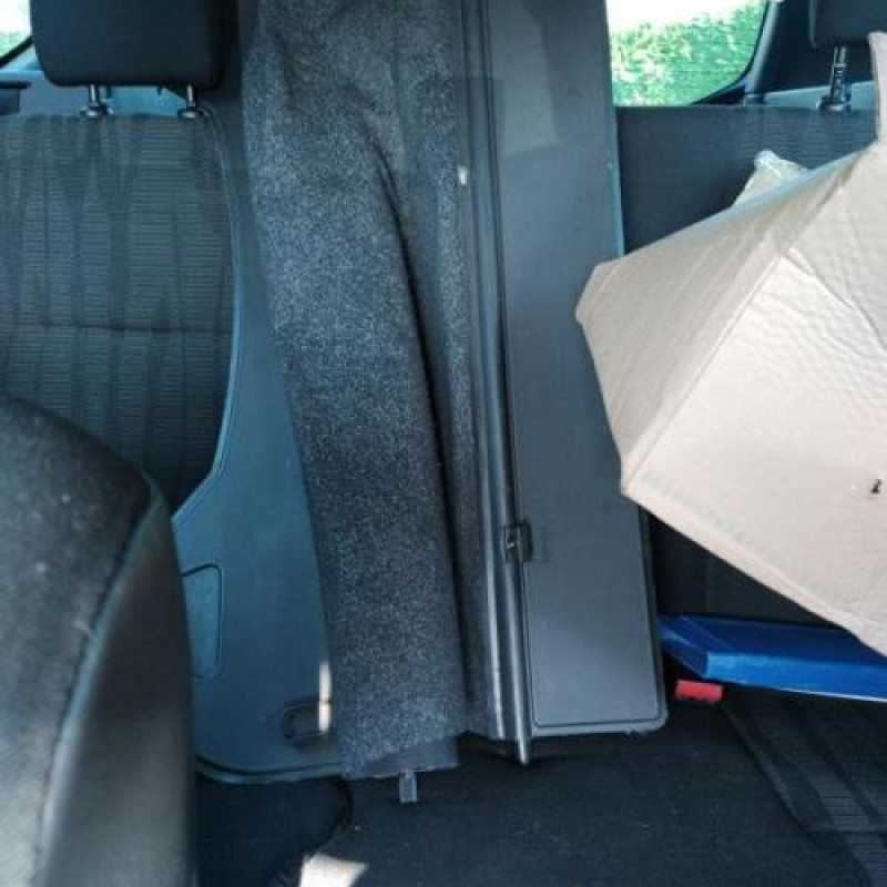 Vitre arriere droit DACIA DUSTER 1 Photo n°13