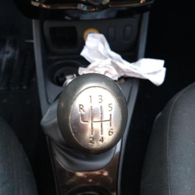 Vitre arriere droit DACIA DUSTER 1 Photo n°14