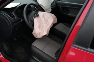 Vitre arriere droit SKODA FABIA 2