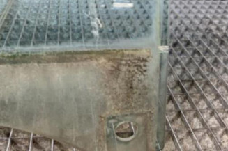 Vitre avant droit AUDI A3 1