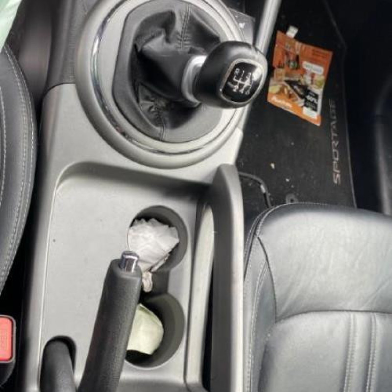 Custode arriere gauche (porte) KIA SPORTAGE 3 Photo n°15