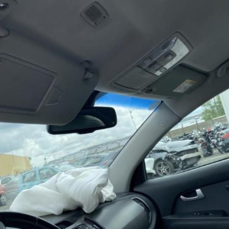 Custode arriere gauche (porte) KIA SPORTAGE 3 Photo n°16