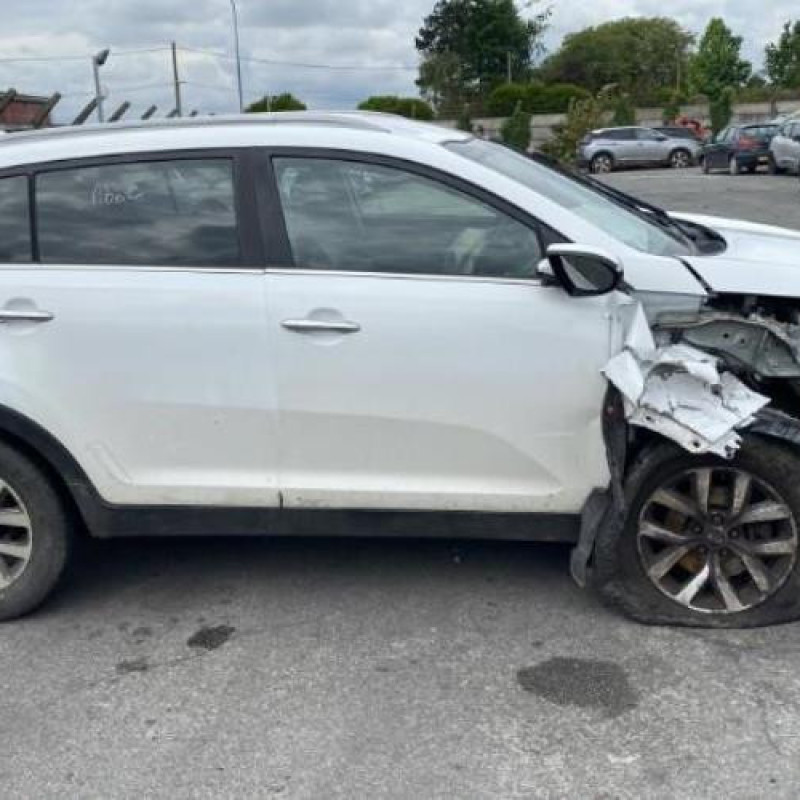 Custode arriere gauche (porte) KIA SPORTAGE 3 Photo n°19