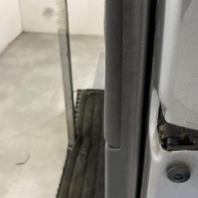 Porte avant droit VOLKSWAGEN POLO 4 Photo n°4