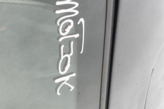 Antenne RENAULT CLIO 3