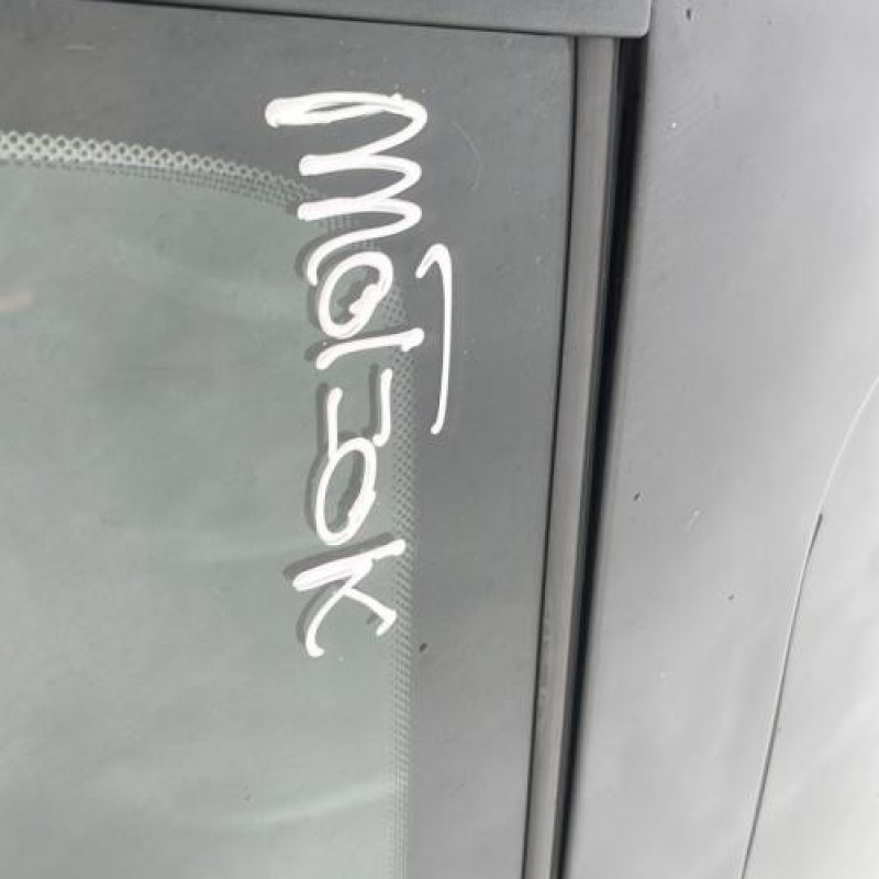 Antenne RENAULT CLIO 3 Photo n°12