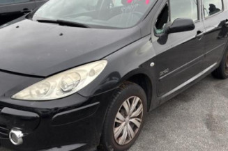 Vase de lave glace PEUGEOT 307