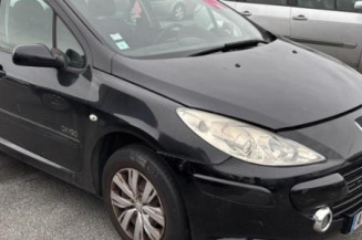 Vase de lave glace PEUGEOT 307