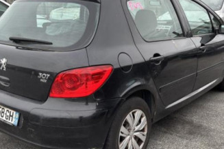 Vase de lave glace PEUGEOT 307