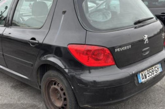 Vase de lave glace PEUGEOT 307