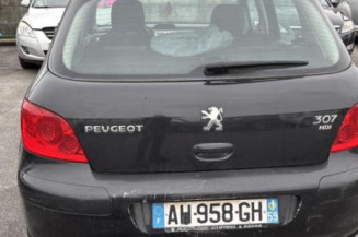 Vase de lave glace PEUGEOT 307
