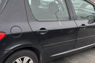 Vase de lave glace PEUGEOT 307